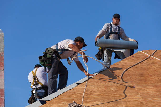 Best Roof Gutter Cleaning  in Columbus, TX